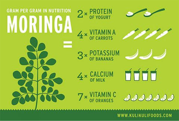 Moringa2